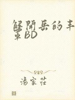 解开岳的丰满奶罩BD