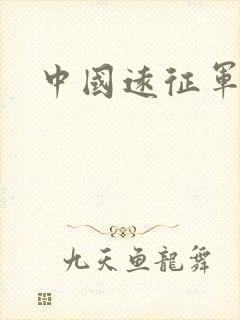 中国远征军小说
