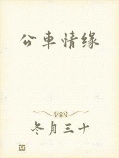 公车情缘