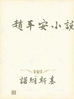 赵平安小说主角