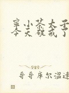 宁小茶太子殿下今天破戒了吗免费阅读