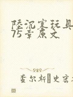 陆沉塞玩具高速75章原文