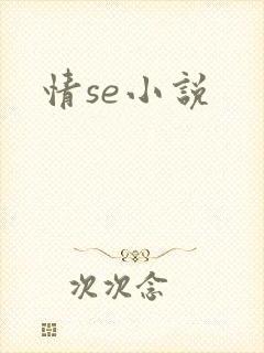 情se小说