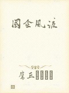 国企风流