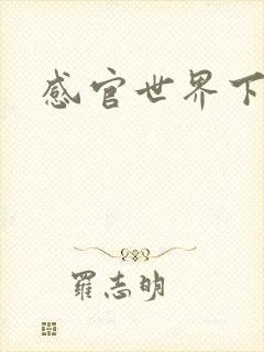 感官世界下载