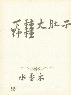 下种大肚子怀孕野种