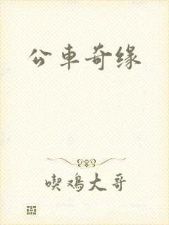 公车奇缘