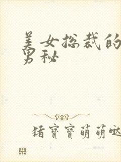 美女总裁的贴身男秘