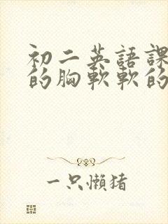 初二英语课代表的胸软软的