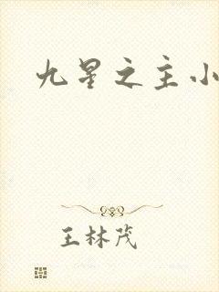 九星之主小说