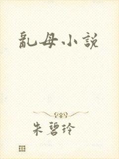 乱母小说