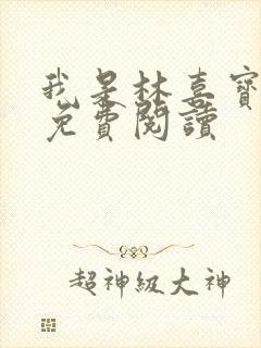 我是林喜宝小说免费阅读