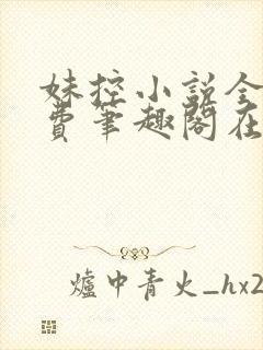 妹控小说全文免费笔趣阁在线阅读