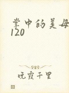 掌中的美母版主120