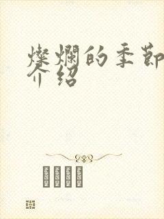 灿烂的季节剧情介绍