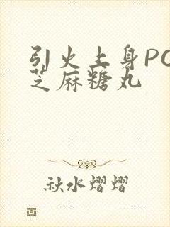 引火上身POP芝麻糖丸