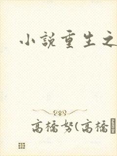 小说重生之官道