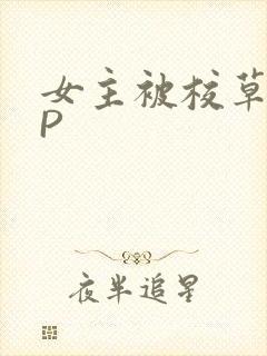 女主被校草们NP