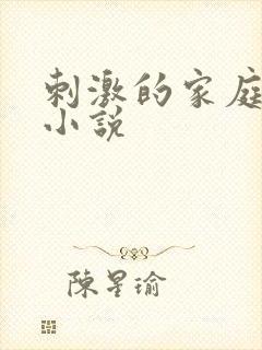 刺激的家庭乱仑小说