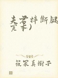 夫君摔断腿后(完本)