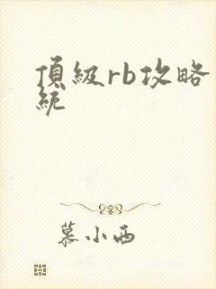 顶级rb攻略系统