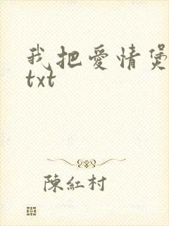 我把爱情煲成汤txt