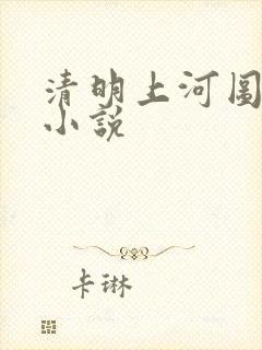 清明上河图密码小说