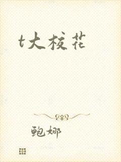 t大校花