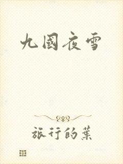 九国夜雪