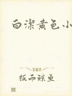 白洁黄色小说