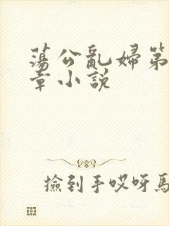 荡公乱妇第51章小说