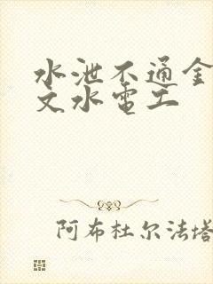 水泄不通金银原文水电工