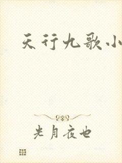 天行九歌小说
