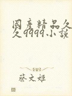 国产精品久久久久9999小说