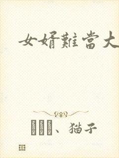 女婿难当大结局