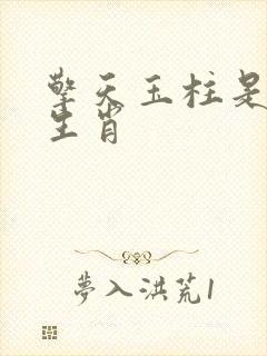 擎天玉柱是什么生肖