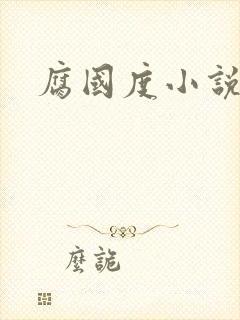 腐国度小说