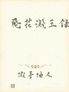 飞花溅玉录