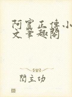 阿宾正传小说全文笔趣阁