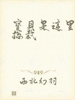 宝贝是这里对吗总裁