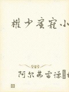 权少蜜宠小娇妻