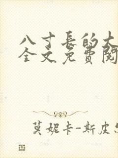 八寸长的大宝贝全文免费阅读