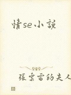 情se小说