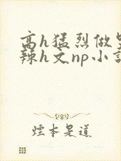 高h猛烈做哭高辣h文np小说