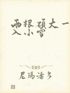 两根硕大一起挤入小雪