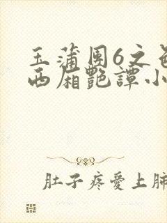 玉蒲团6之色情西厢艳谭小说