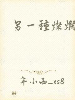 另一种灿烂生活