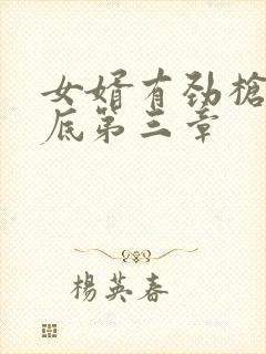 女婿有劲枪枪到底第三章