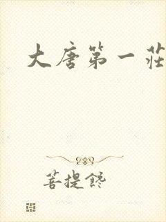 大唐第一庄