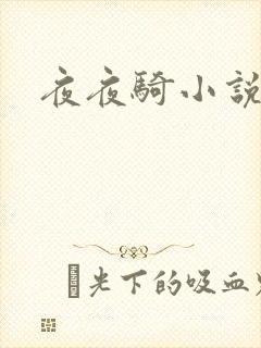 夜夜骑小说